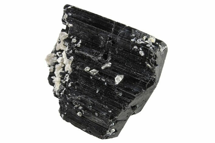 Terminated Black Tourmaline (Schorl) Crystal - Madagascar #295032
